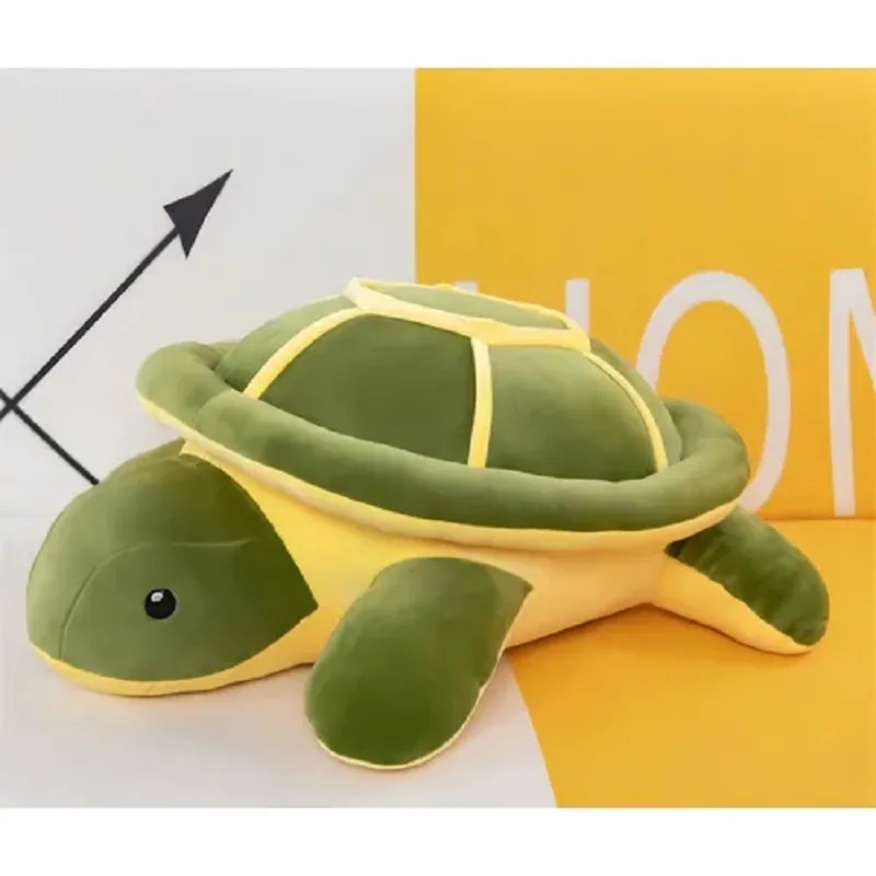 taddy turtle large